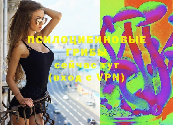 ГАЛЛЮЦИНОГЕННЫЕ ГРИБЫ Верхнеуральск