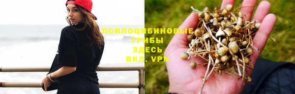 спайс Верхний Тагил