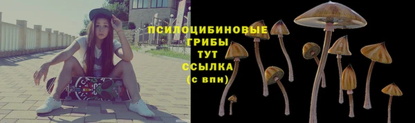 ГАЛЛЮЦИНОГЕННЫЕ ГРИБЫ Верхнеуральск