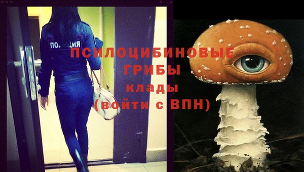 МДПВ Верея