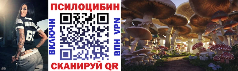 Псилоцибиновые грибы Cubensis  Всеволожск 
